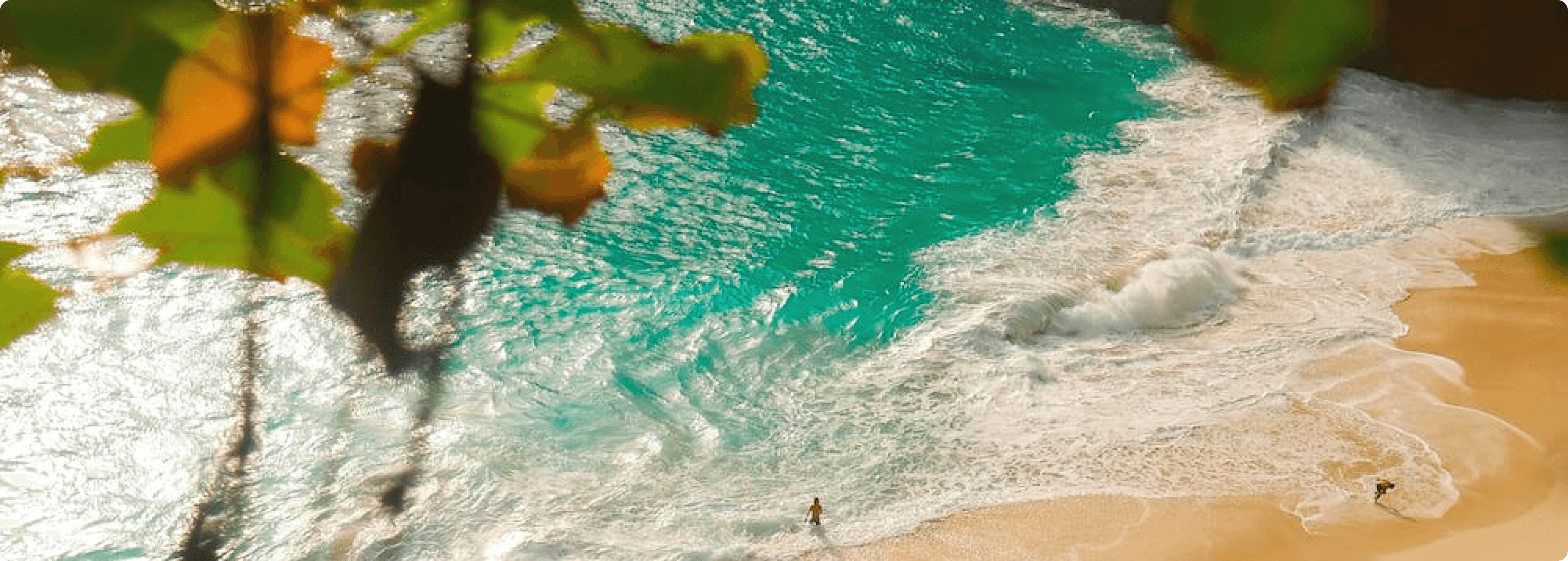 aaa